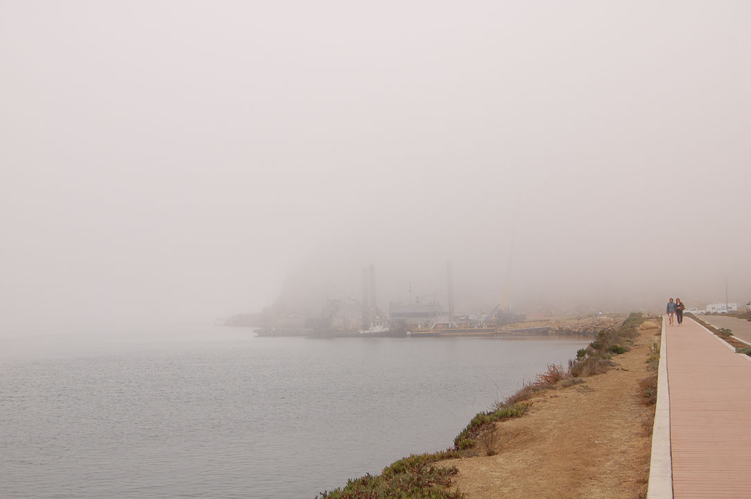 Morro Rock в тумані
