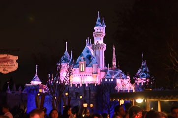 Sleeping Beauty Castle вночі