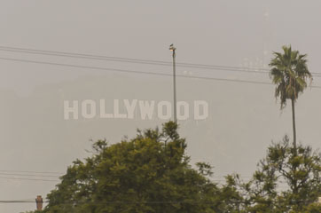 Напис Голлівуд в тумані