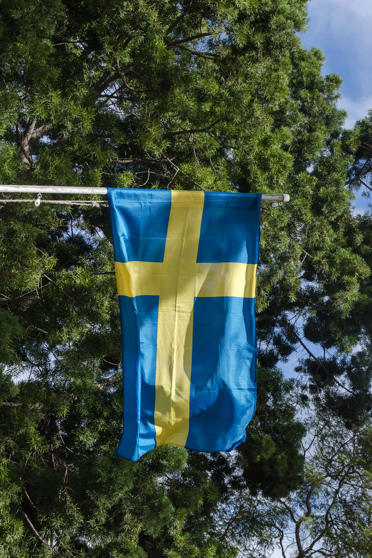 Хата Швеції